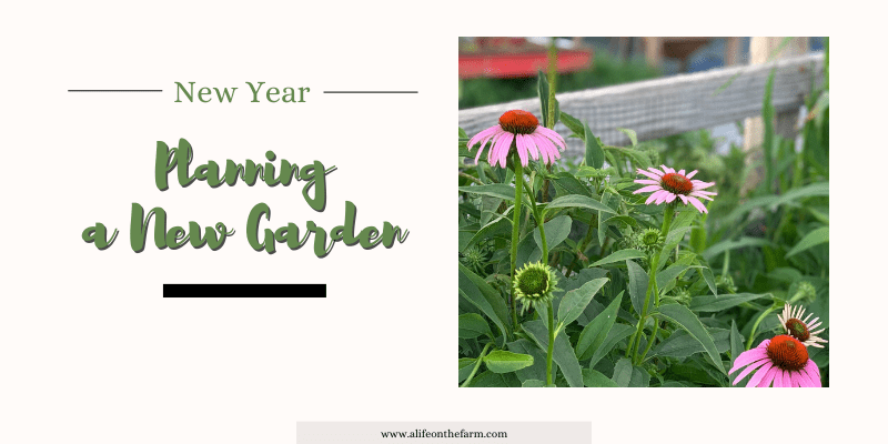 planning a new garden