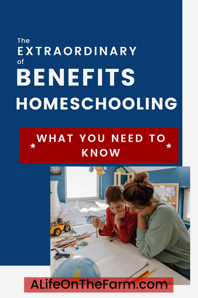 The Extraordinary Benefits of Homeschooling 3