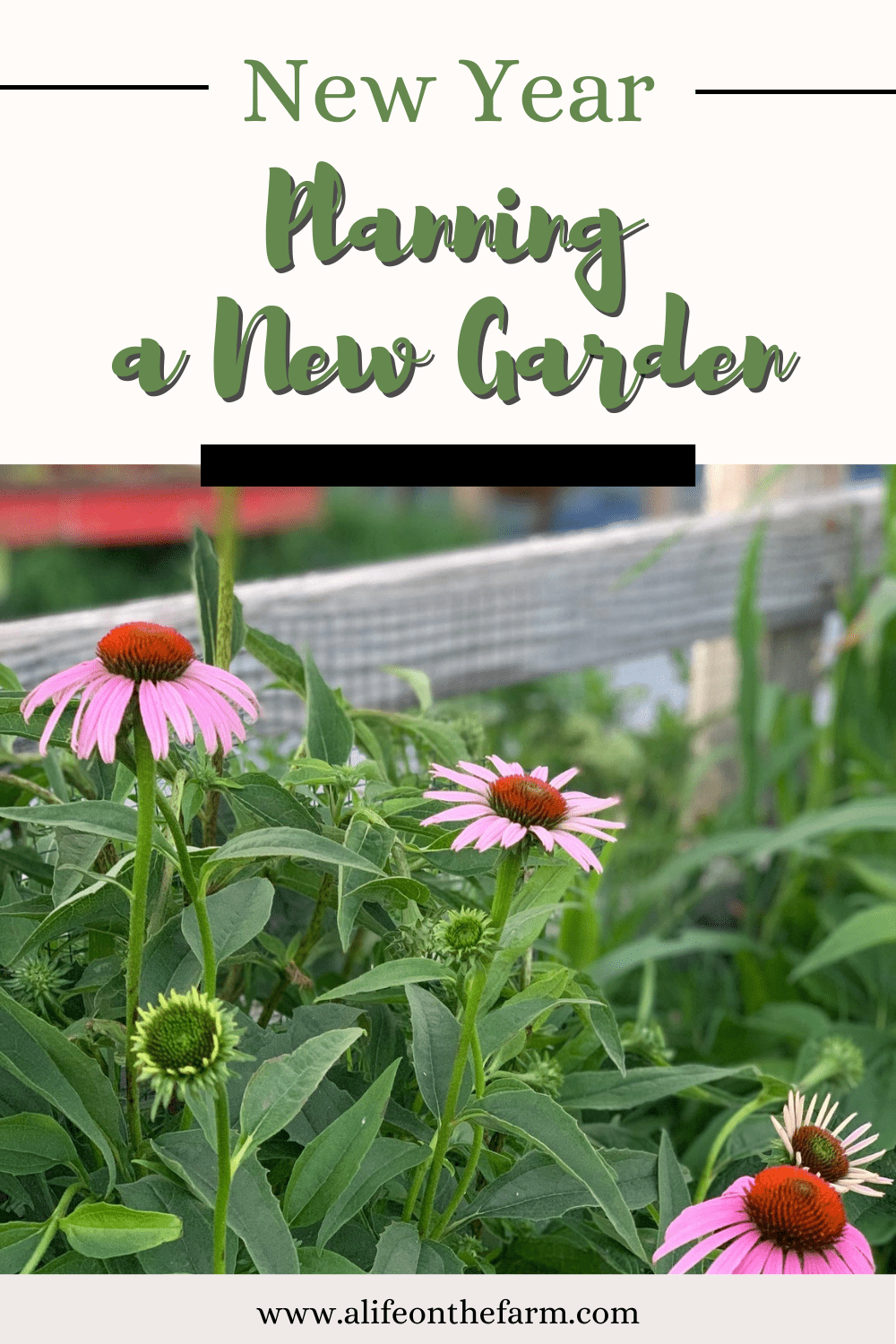 planning a new garden