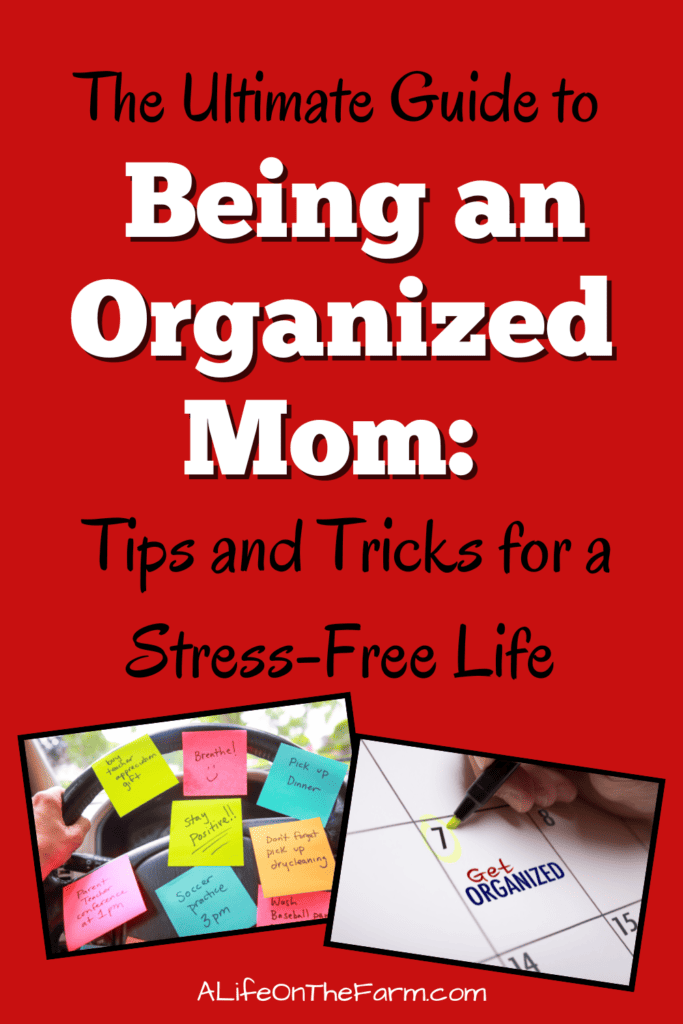 organized mom
