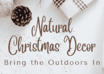 Natural Christmas Decor: Bring the Outdoors In