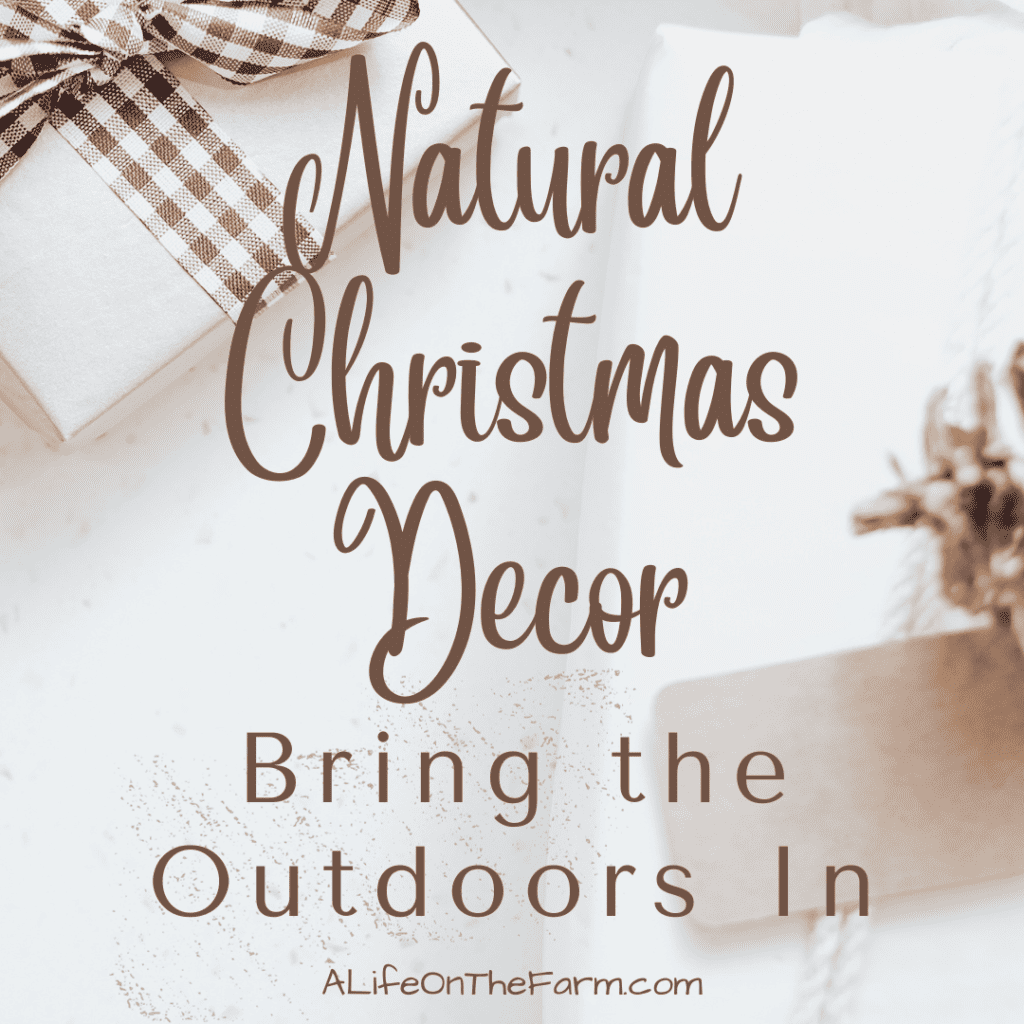 natural christmas decor