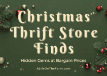 Thrift Store Finds: Hidden Gems at Bargain Prices