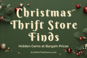 Thrift Store Finds: Hidden Gems at Bargain Prices