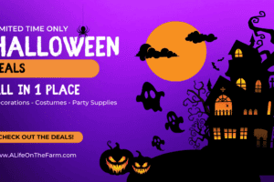Super Halloween Deals – Curated for You