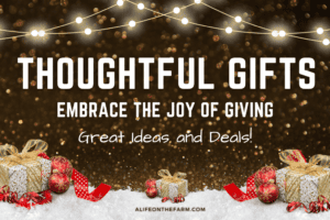 Thoughtful Gifts: Embrace the Spirit of Giving – Special Christmas Pt 3