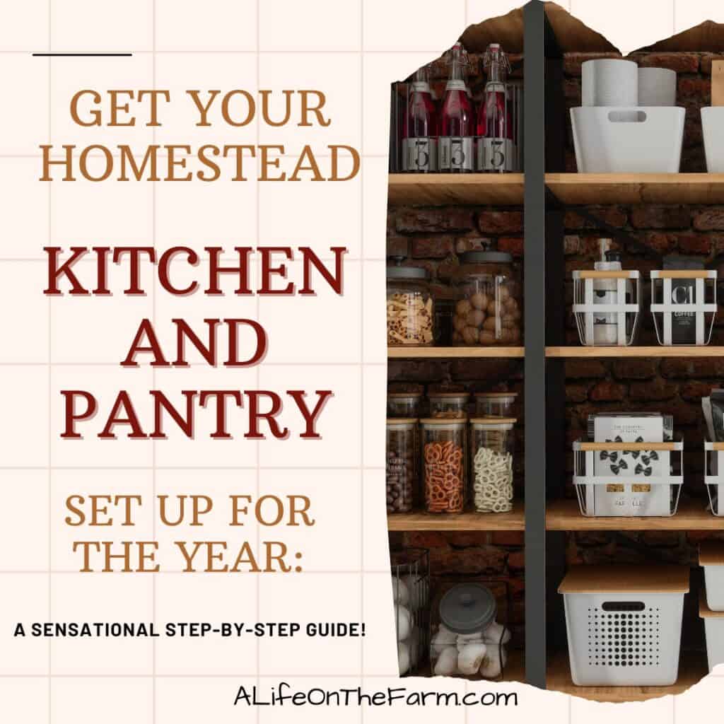 kitchen and pantry
