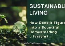 What is Sustainable Living and How Does it Figure into a Bountiful Homesteading Lifestyle?