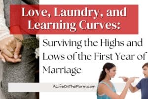 Love, Laundry, and Learning Curves: Surviving the Highs and Lows of the First Year of Marriage