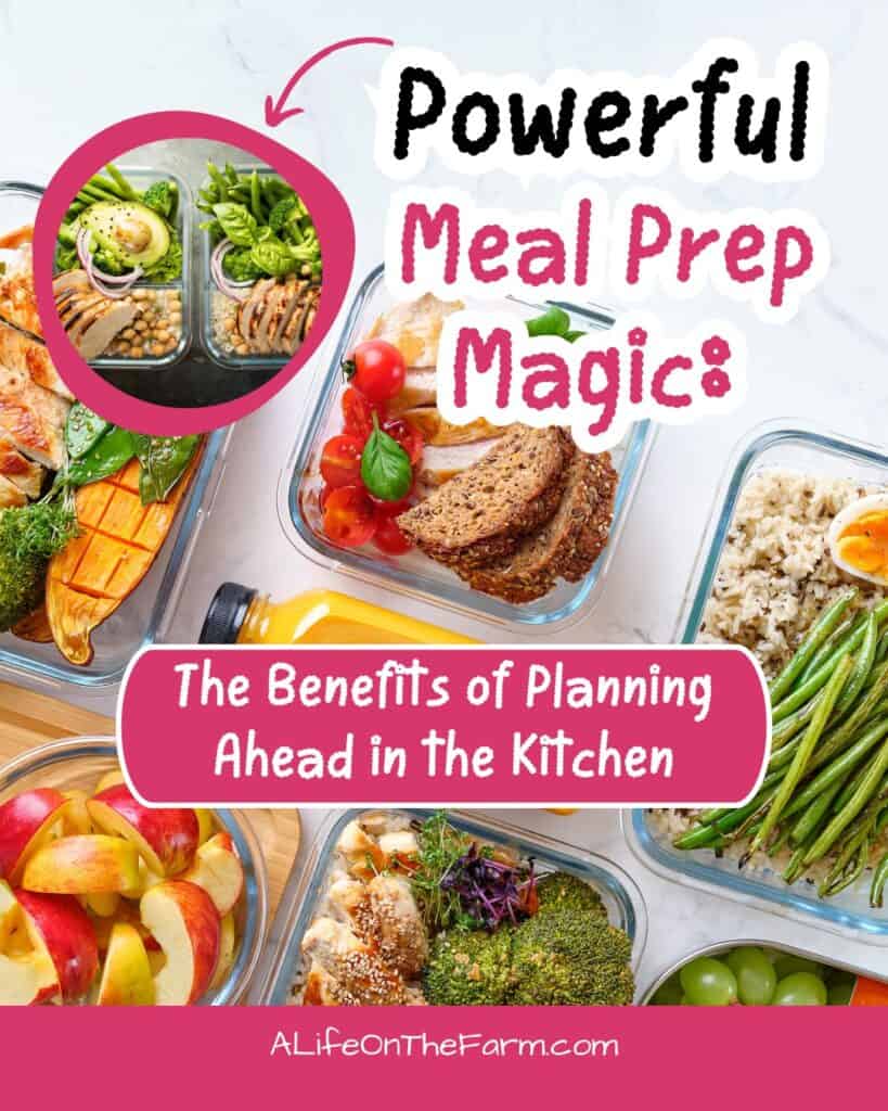meal prep
