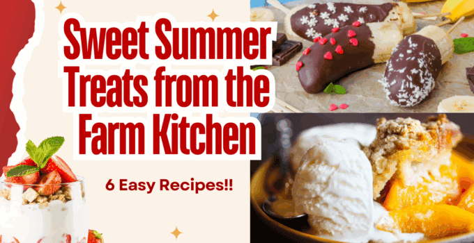 summer treats