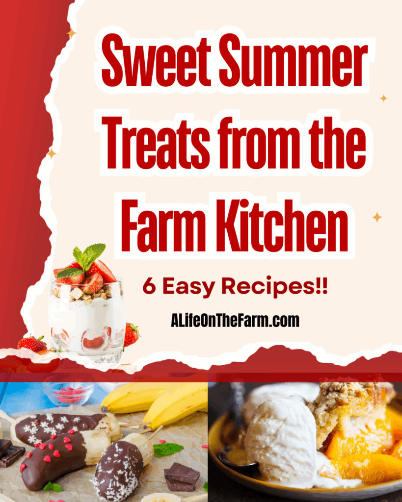 summer treats