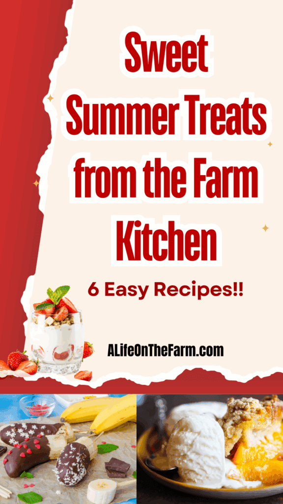 summer treats