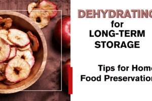 Dehydrating for Long-Term Storage – Tips for Home Food Preservation