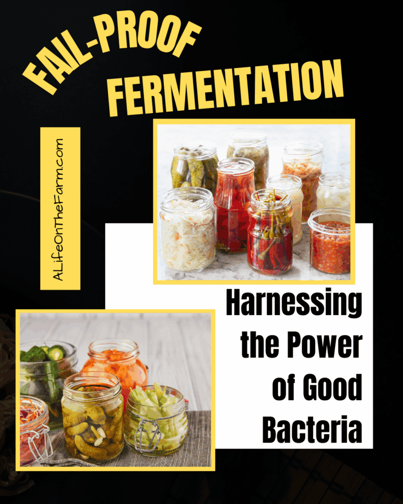 fermentation