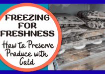 Freezing for Freshness Frenzy – How to Preserve Produce with Cold Freezing for Freshness Frenzy – How to Preserve Produce with Cold