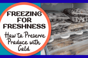 Freezing for Freshness Frenzy – How to Preserve Produce with Cold