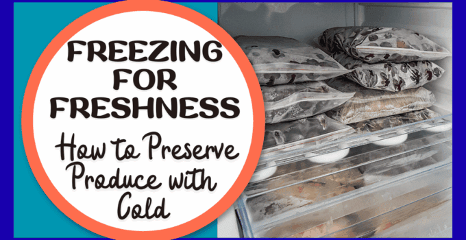 freezing