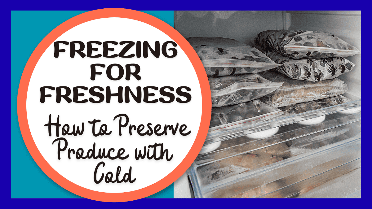 Freezing For Freshness Frenzy – How To Preserve Produce With Cold - A ...