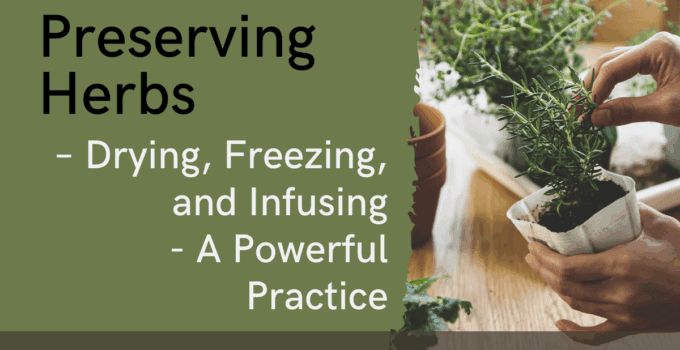 preserving herbs