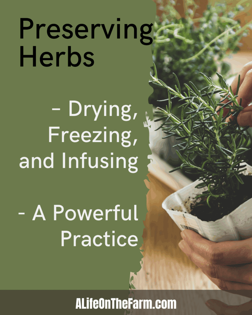 preserving herbs