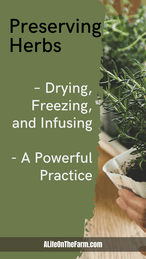 preserving herbs