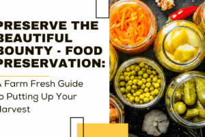 Preserve the Beautiful Bounty – Food Preservation: A Farm Fresh Guide to Putting Up Your Harvest