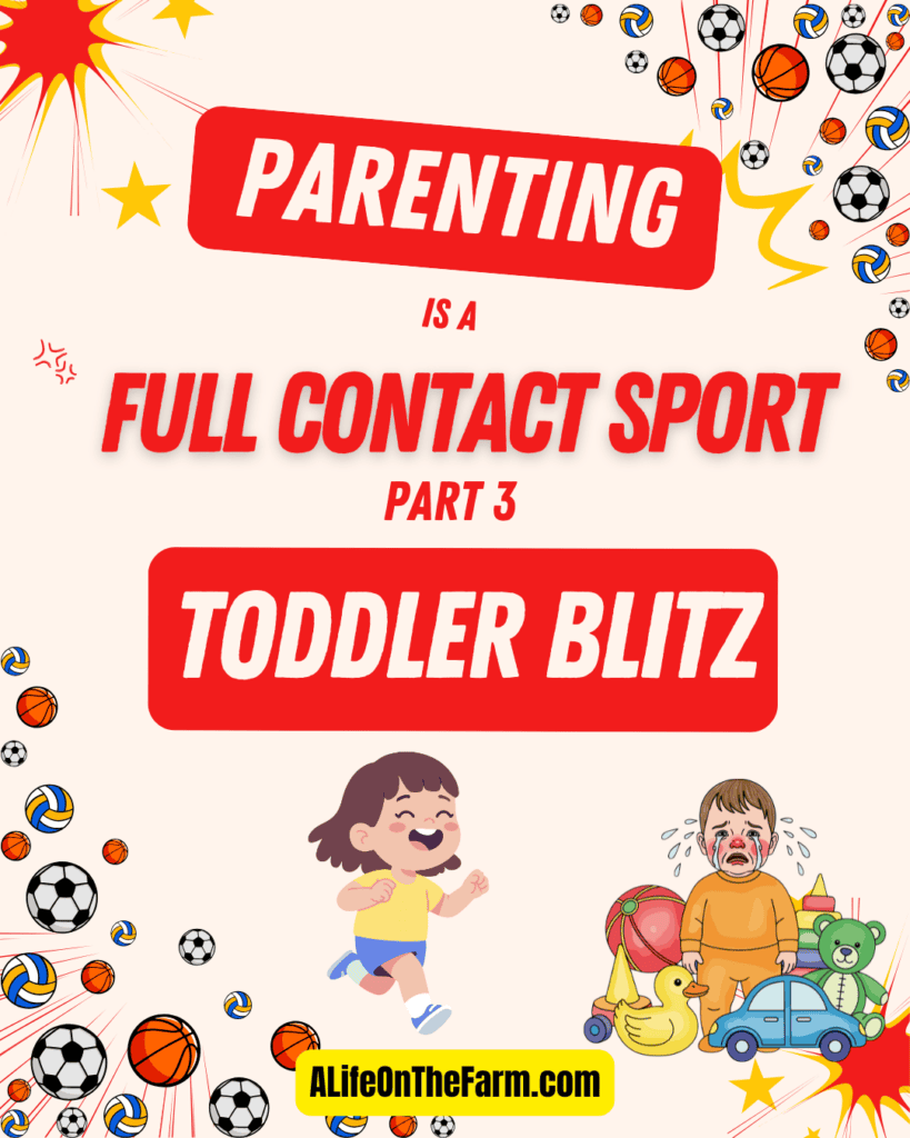 toddler blitz