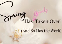 Spring Has Taken Over (And So Has the Work) – Officially