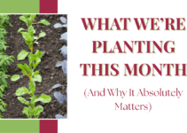 What We’re Planting This Month (And Why It Absolutely Matters) What We’re Planting This Month (And Why It Absolutely Matters)