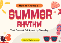How to Create a Summer Rhythm That Doesn’t Fall Apart by Tuesday