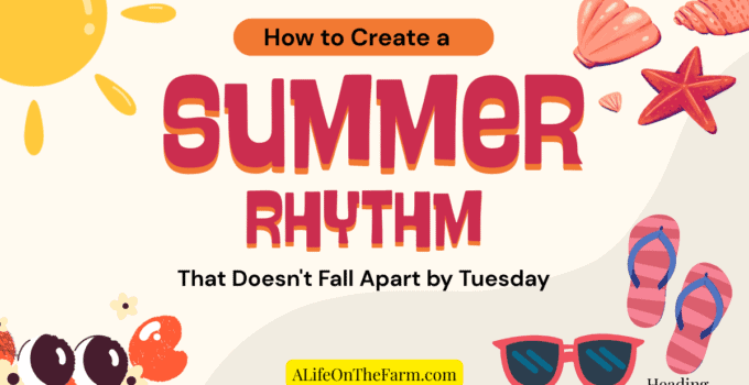 summer rhythm