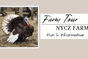 Farm Tour – Nycz Farm – Fun and Informative
