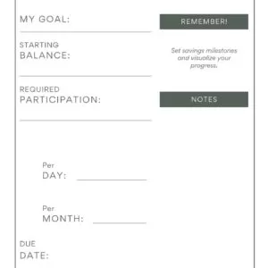 classic financial planner