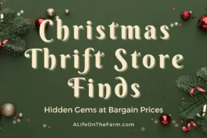 Thrift Store Finds: Hidden Gems at Bargain Prices