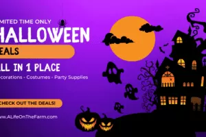 Super Halloween Deals – Curated for You