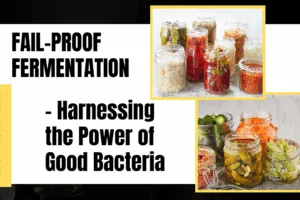 Fail-Proof Fermentation – Harnessing the Power of Good Bacteria