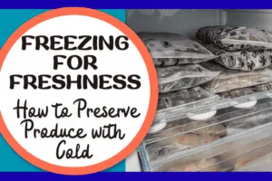 Freezing for Freshness Frenzy – How to Preserve Produce with Cold