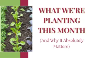 What We’re Planting This Month (And Why It Absolutely Matters)