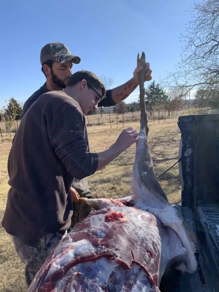 Productive Homesteading Skills; Passing it Down 6 Pioneer skills, hunting, homesteading, butchering